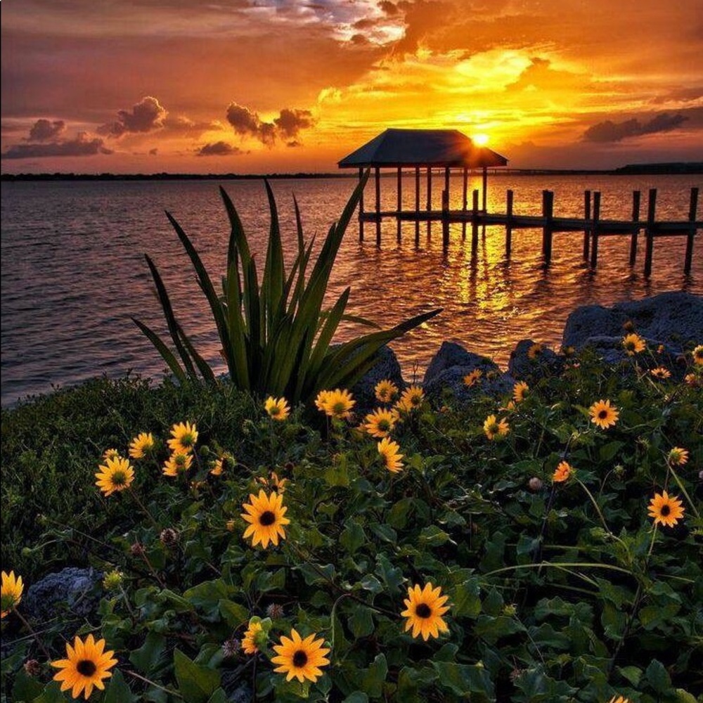 Meet your Posher, Pearl